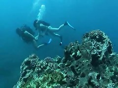 Hotlegs-sex under water