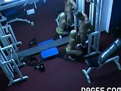 Horny Folks Fucking At The Gym